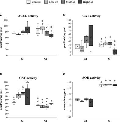 Toxicopathic effects of waterborne Cd in sole juveniles, a prospective pollution monitoring sentinel for estuarine ecosystems
